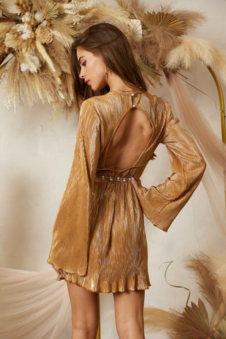 back of dress.jpg