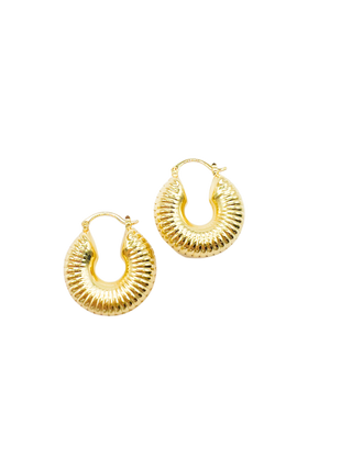 Spiral Gold Hoops